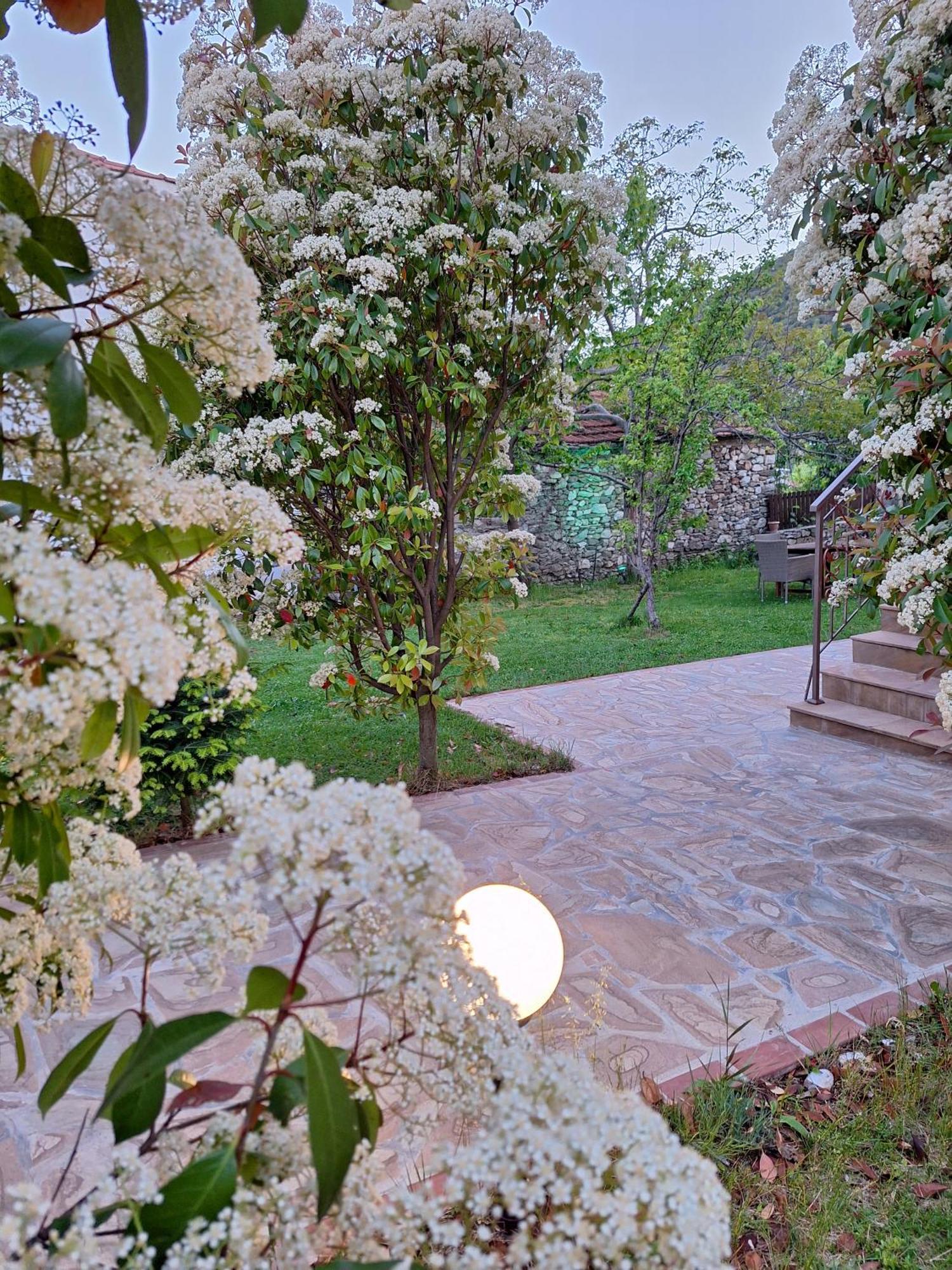 Country House On Mount Olympus Karia  Buitenkant foto